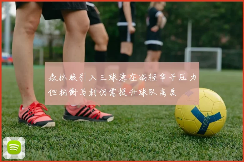 森林狼引入三球意在减轻华子压力但抗衡马刺仍需提升球队高度